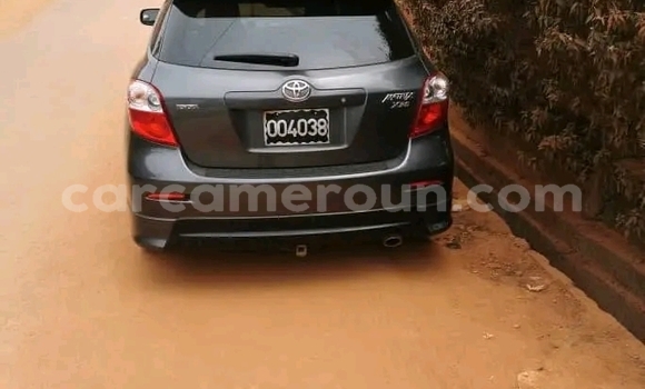 Buy Import Toyota Matrix Silver Car in Yaounde in Central Cameroon
