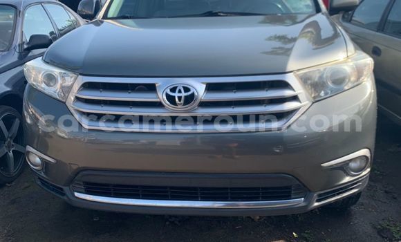Buy New Toyota Highlander Silver Car in Yaounde in Central Cameroon