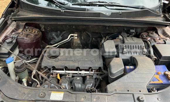 Buy New Hyundai Sonata Silver Car in Yaounde in Central Cameroon Buy New Hyundai Sonata Silver Car in Yaounde in Central Cameroon