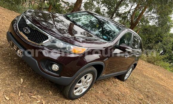 Sayi Na hannu Kia Sorento Sauran Mota in Yaounde a Babban Kamaru Sayi Na hannu Kia Sorento Sauran Mota in Yaounde a Babban Kamaru