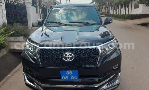 Buy New Toyota Land Cruiser Prado Black Car in Yaounde in Central Cameroon