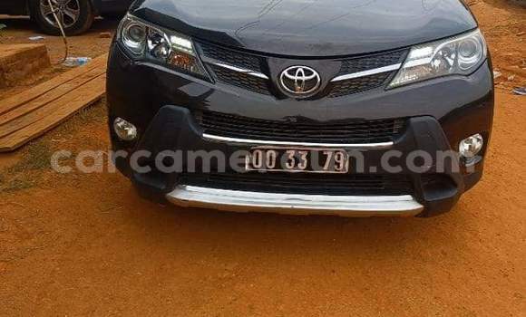 Buy New Toyota RAV4 Blue Car in Yaounde in Central Cameroon Buy New Toyota RAV4 Blue Car in Yaounde in Central Cameroon