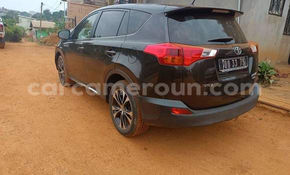 Buy New Toyota RAV4 Blue Car in Yaounde in Central Cameroon Buy New Toyota RAV4 Blue Car in Yaounde in Central Cameroon