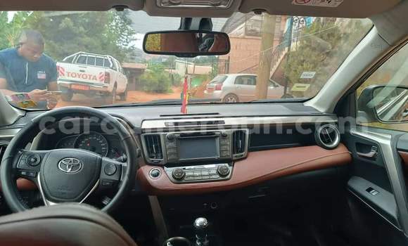 Buy New Toyota RAV4 Blue Car in Yaounde in Central Cameroon Buy New Toyota RAV4 Blue Car in Yaounde in Central Cameroon