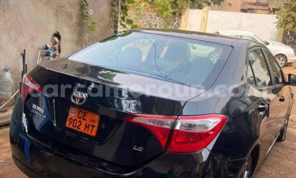 Buy Used Toyota Corolla Black Car in Yaounde in Central Cameroon Buy Used Toyota Corolla Black Car in Yaounde in Central Cameroon