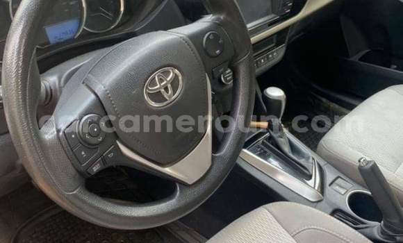 Buy Used Toyota Corolla Black Car in Yaounde in Central Cameroon Buy Used Toyota Corolla Black Car in Yaounde in Central Cameroon