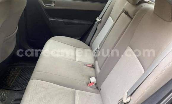 Buy Used Toyota Corolla Black Car in Yaounde in Central Cameroon Buy Used Toyota Corolla Black Car in Yaounde in Central Cameroon