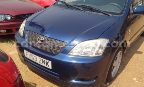 Sayi Na hannu Toyota Corolla Blue Mota in Garoua a North Kamaru