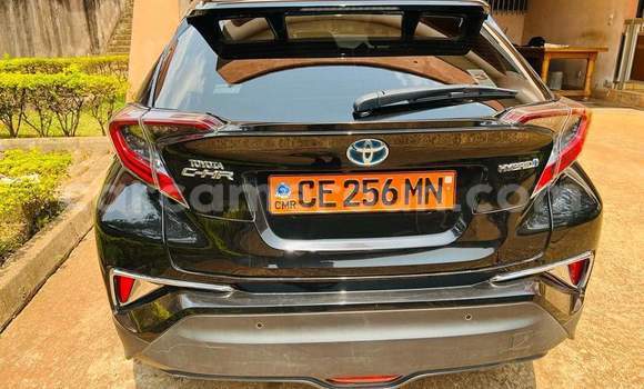 Buy Used Toyota C-HR Black Car in Yaounde in Central Cameroon