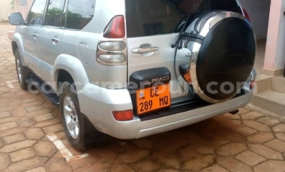 Acheter Occasion Voiture Toyota Land Cruiser Prado Gris à Garoua, North Cameroon Acheter Occasion Voiture Toyota Land Cruiser Prado Gris à Garoua, North Cameroon