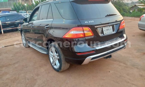 Sayi Imported Mercedes-Benz 740Li Black Mota in Yaounde a Babban Kamaru