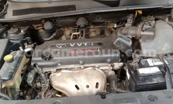 Acheter Occasion Voiture Toyota RAV4 Rouge à Douala, Littoral Cameroon Acheter Occasion Voiture Toyota RAV4 Rouge à Douala, Littoral Cameroon