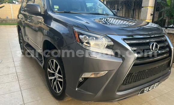 Acheter Occasion Voiture Lexus GX Gris à Douala, Littoral Cameroon