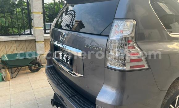 Acheter Occasion Voiture Lexus GX Gris à Douala, Littoral Cameroon Acheter Occasion Voiture Lexus GX Gris à Douala, Littoral Cameroon