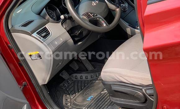 Buy New Hyundai Elantra Red Car in Yaounde in Central Cameroon Buy New Hyundai Elantra Red Car in Yaounde in Central Cameroon