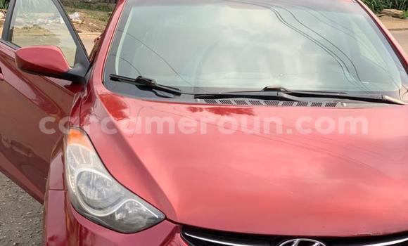 Buy New Hyundai Elantra Red Car in Yaounde in Central Cameroon Buy New Hyundai Elantra Red Car in Yaounde in Central Cameroon