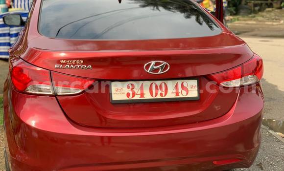 Buy New Hyundai Elantra Red Car in Yaounde in Central Cameroon Buy New Hyundai Elantra Red Car in Yaounde in Central Cameroon