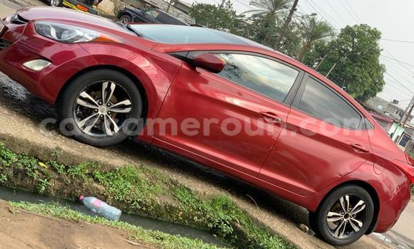 Buy New Hyundai Elantra Red Car in Yaounde in Central Cameroon Buy New Hyundai Elantra Red Car in Yaounde in Central Cameroon