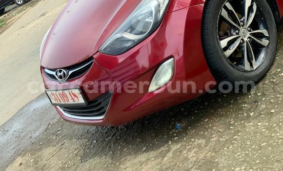 Buy New Hyundai Elantra Red Car in Yaounde in Central Cameroon Buy New Hyundai Elantra Red Car in Yaounde in Central Cameroon