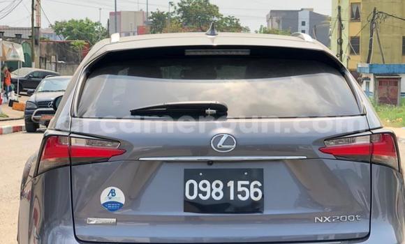 Buy New Lexus NX Silver Car in Yaounde in Central Cameroon Buy New Lexus NX Silver Car in Yaounde in Central Cameroon