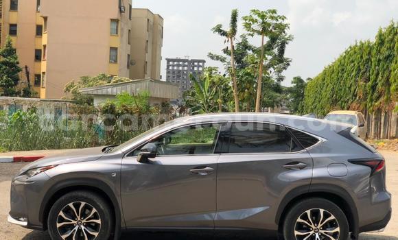 Buy New Lexus NX Silver Car in Yaounde in Central Cameroon Buy New Lexus NX Silver Car in Yaounde in Central Cameroon