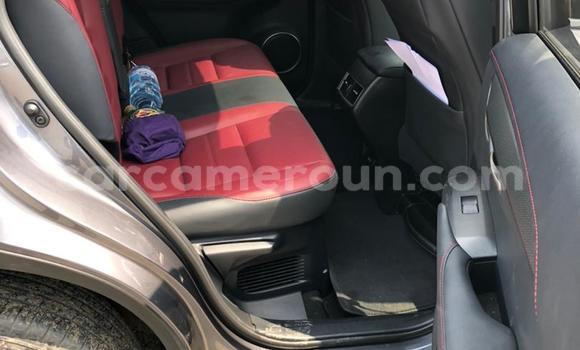 Buy New Lexus NX Silver Car in Yaounde in Central Cameroon Buy New Lexus NX Silver Car in Yaounde in Central Cameroon