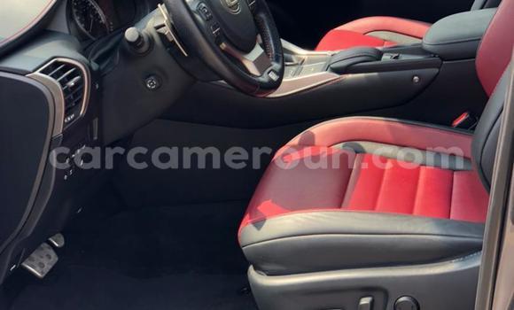 Buy New Lexus NX Silver Car in Yaounde in Central Cameroon Buy New Lexus NX Silver Car in Yaounde in Central Cameroon