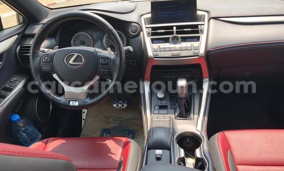 Buy New Lexus NX Silver Car in Yaounde in Central Cameroon Buy New Lexus NX Silver Car in Yaounde in Central Cameroon