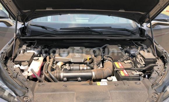 Buy New Lexus NX Silver Car in Yaounde in Central Cameroon Buy New Lexus NX Silver Car in Yaounde in Central Cameroon