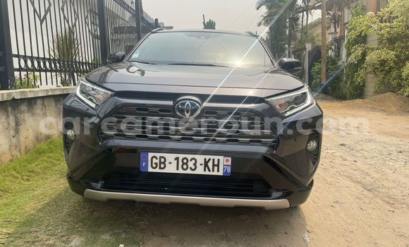 Acheter Import Voiture Toyota RAV4 Gris à Douala, Littoral Cameroon Acheter Import Voiture Toyota RAV4 Gris à Douala, Littoral Cameroon