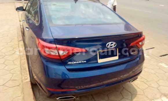 Sayi Na hannu Hyundai Sonata Blue Mota in Yaounde a Babban Kamaru Sayi Na hannu Hyundai Sonata Blue Mota in Yaounde a Babban Kamaru