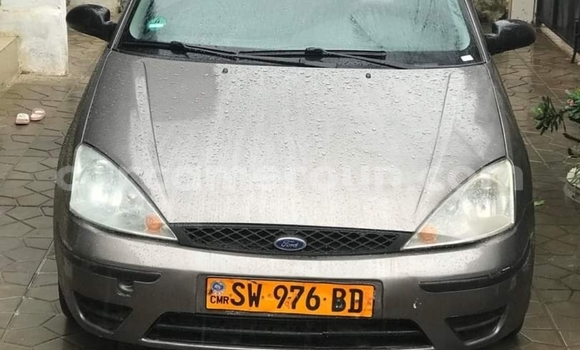 Acheter Occasion Voiture Ford Focus Marron à Douala, Littoral Cameroon Acheter Occasion Voiture Ford Focus Marron à Douala, Littoral Cameroon