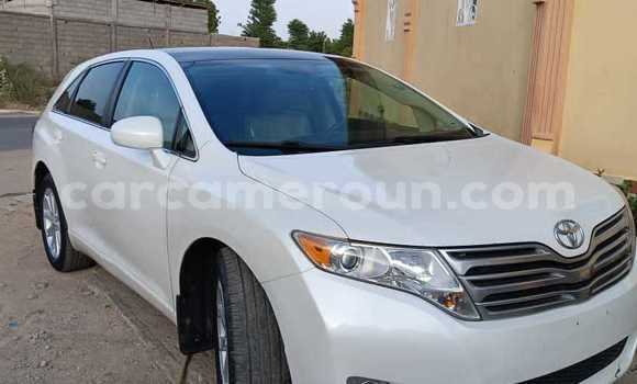Buy Used Toyota Venza White Car in Yaounde in Central Cameroon