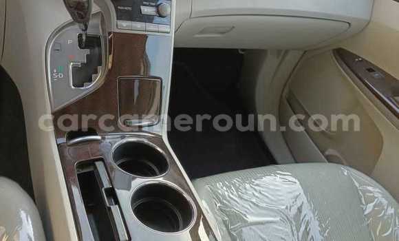 Sayi Na hannu Toyota Venza White Mota in Yaounde a Babban Kamaru Sayi Na hannu Toyota Venza White Mota in Yaounde a Babban Kamaru