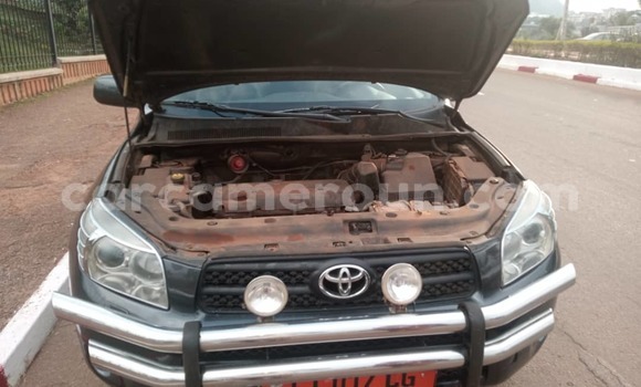 Buy Used Toyota RAV4 Silver Car in Yaounde in Central Cameroon Buy Used Toyota RAV4 Silver Car in Yaounde in Central Cameroon