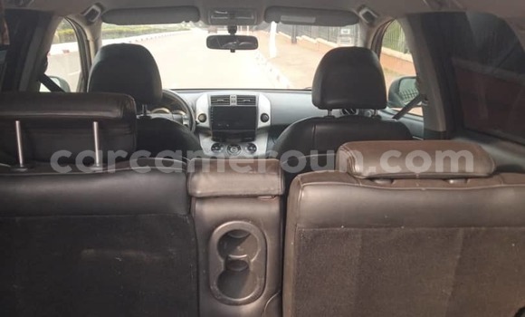 Buy Used Toyota RAV4 Silver Car in Yaounde in Central Cameroon Buy Used Toyota RAV4 Silver Car in Yaounde in Central Cameroon