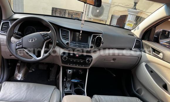 Buy Used Hyundai Tucson Black Car in Yaounde in Central Cameroon Buy Used Hyundai Tucson Black Car in Yaounde in Central Cameroon