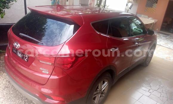 Acheter Occasion Voiture Hyundai Santa Fe Rouge à Yaoundé, Central Cameroon Acheter Occasion Voiture Hyundai Santa Fe Rouge à Yaoundé, Central Cameroon