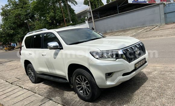 Buy Import Toyota Land Cruiser Prado White Car in Douala in Littoral Cameroon