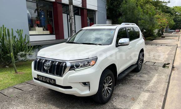 Sayi Imported Toyota Land Cruiser Prado White Mota in Douala a Ƙasar Kamaru Sayi Imported Toyota Land Cruiser Prado White Mota in Douala a Ƙasar Kamaru