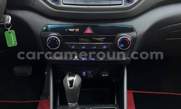 Acheter Neuf Voiture Hyundai Santa Fe Rouge à Yaoundé, Central Cameroon Acheter Neuf Voiture Hyundai Santa Fe Rouge à Yaoundé, Central Cameroon