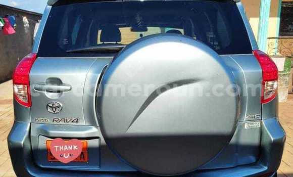 Acheter Occasion Voiture Toyota RAV4 Noir à Yaoundé, Central Cameroon Acheter Occasion Voiture Toyota RAV4 Noir à Yaoundé, Central Cameroon