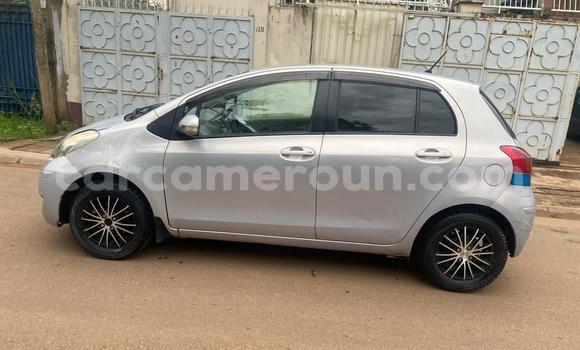 Buy Used Toyota Yaris Silver Car in Yaounde in Central Cameroon