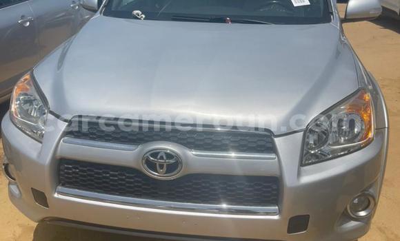 Acheter Occasion Voiture Toyota RAV4 Gris à Douala, Littoral Cameroon Acheter Occasion Voiture Toyota RAV4 Gris à Douala, Littoral Cameroon