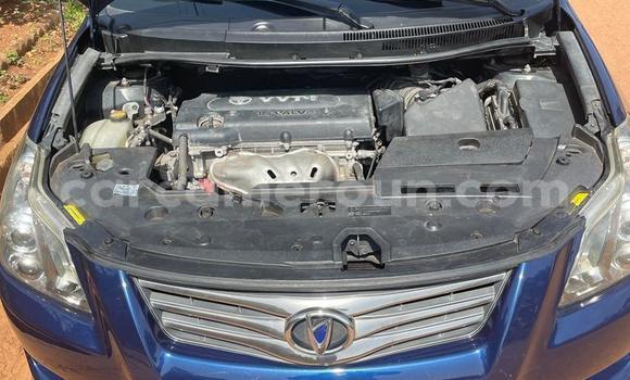 Acheter Occasion Voiture Toyota Blade Bleu à Yaoundé, Central Cameroon Acheter Occasion Voiture Toyota Blade Bleu à Yaoundé, Central Cameroon
