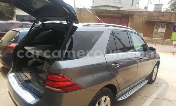 Buy Used Mercedes‒Benz GLE Silver Car in Yaounde in Central Cameroon Buy Used Mercedes‒Benz GLE Silver Car in Yaounde in Central Cameroon