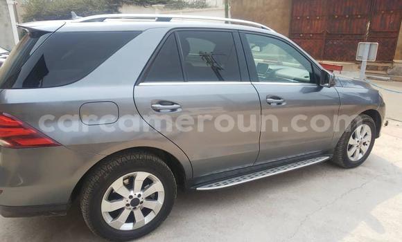 Buy Used Mercedes‒Benz GLE Silver Car in Yaounde in Central Cameroon Buy Used Mercedes‒Benz GLE Silver Car in Yaounde in Central Cameroon