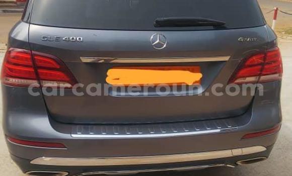 Buy Used Mercedes‒Benz GLE Silver Car in Yaounde in Central Cameroon Buy Used Mercedes‒Benz GLE Silver Car in Yaounde in Central Cameroon