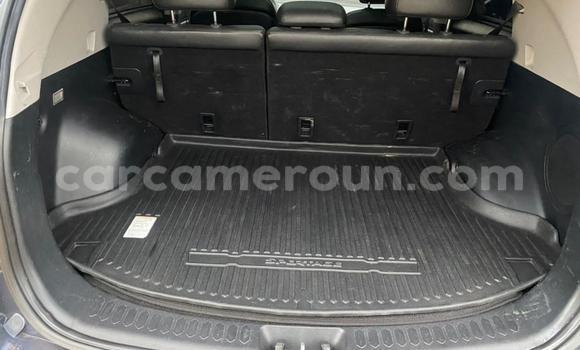 Acheter Occasion Voiture Kia Sportage Bleu à Yaoundé, Central Cameroon Acheter Occasion Voiture Kia Sportage Bleu à Yaoundé, Central Cameroon