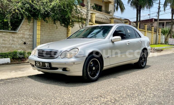 Buy Import Mercedes-Benz C-Classe Beige Car in Douala in Littoral Cameroon